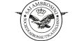 SAI AMBROSINI