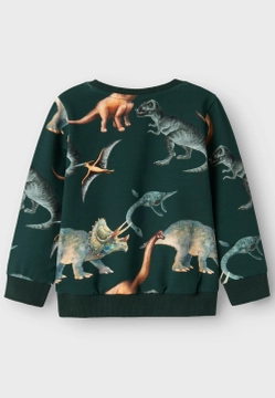 BLUZA CHŁOPIĘCA NAME IT 13231927