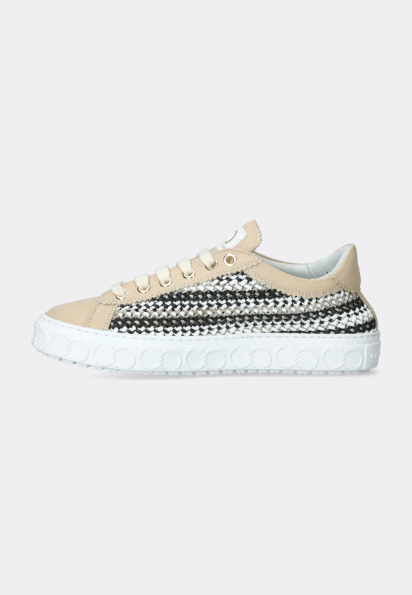 SNEAKERSY DAMSKIE CESARE CASADEI 50208