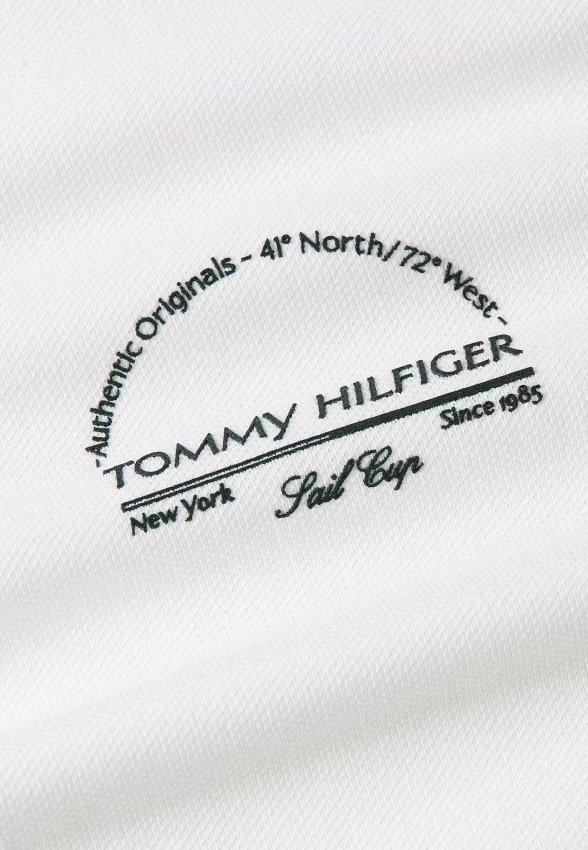 POLO MĘSKIE TOMMY HILFIGER MW0MW38486