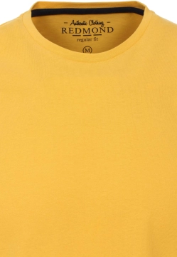 T-SHIRT MĘSKI REDMOND 665