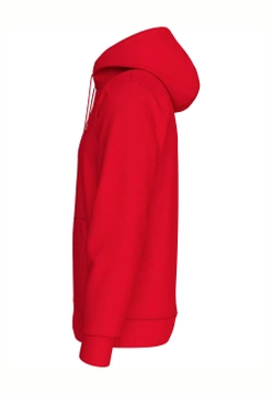 BLUZA MĘSKA Z KAPTUREM TOMMY JEANS DM0DM17985