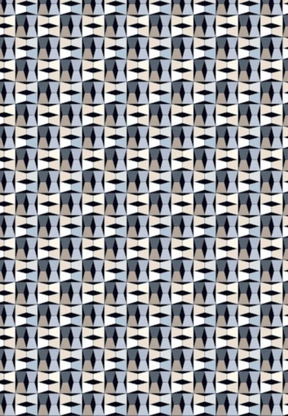 KOSZULA MĘSKA Z DŁUGIM RĘKAWEM DESOTO 92228-3