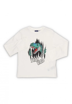 T-SHIRT CHŁOPIĘCY Z DŁUGIM RĘKAWEM CHICCO 7309