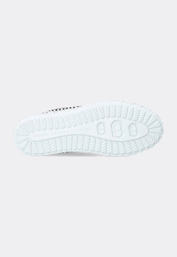 SNEAKERSY DAMSKIE CESARE CASADEI 50208