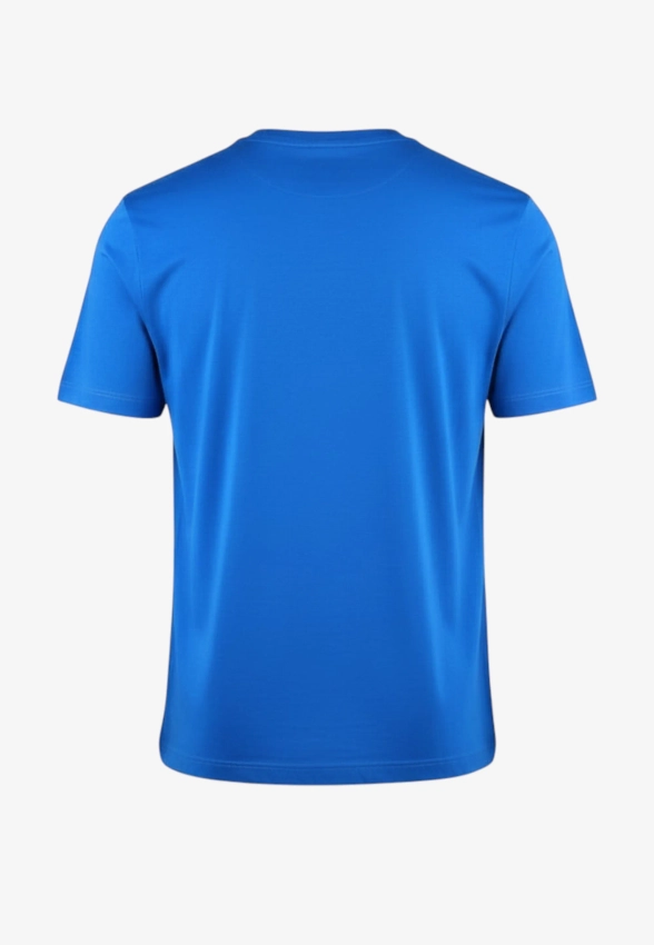 T-SHIRT MĘSKI TOMMY HILFIGER MW0MW39995