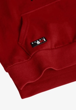 BLUZA CHŁOPIĘCA BOBOLI 532101