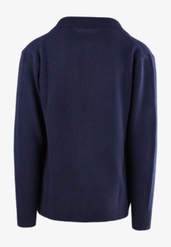 KARDIGAN MĘSKI MORGANO 491232