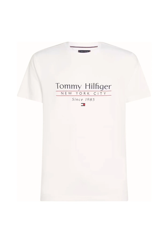 T-SHIRT MĘSKI TOMMY HILFIGER MW0MW38621