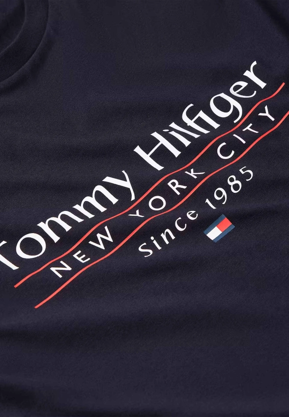 T-SHIRT MĘSKI TOMMY HILFIGER MW0MW38621