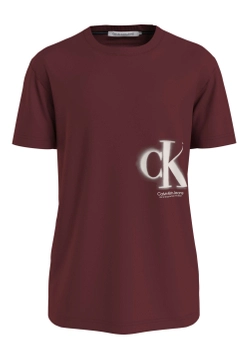 T-SHIRT MĘSKI CALVIN KLEIN JEANS J30J322875