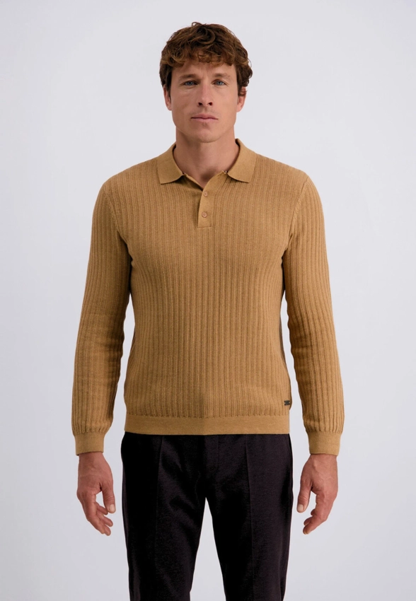 SWETER MĘSKI TYPU POLO PIERRE CARDIN C5 51414 5105