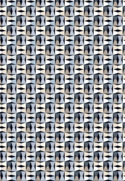 KOSZULA MĘSKA Z DŁUGIM RĘKAWEM DESOTO 92228-3