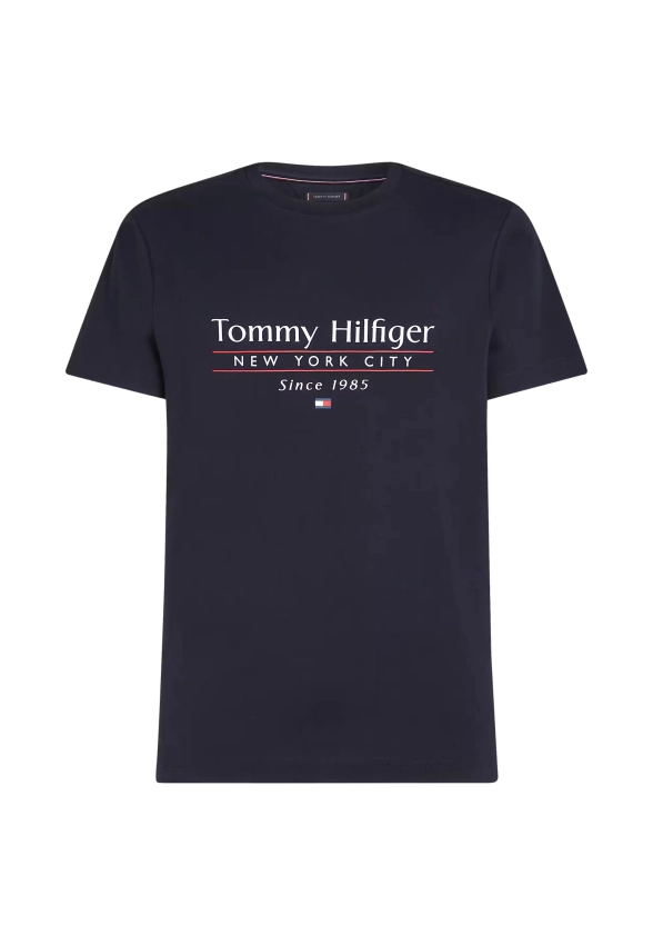 T-SHIRT MĘSKI TOMMY HILFIGER MW0MW38621