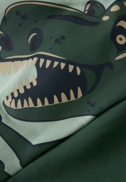 BLUZA CHłOPIĘCA NAME IT 13246680