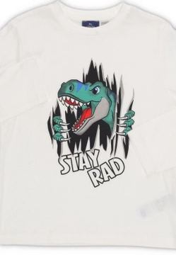 T-SHIRT CHŁOPIĘCY Z DŁUGIM RĘKAWEM CHICCO 7309