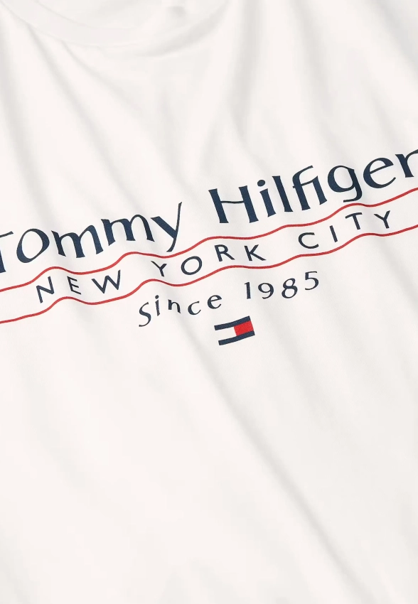 T-SHIRT MĘSKI TOMMY HILFIGER MW0MW38621