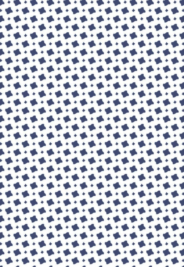 KOSZULA MĘSKA W SZEROKIE PASY Z DŁUGIM RĘKAWEM DESOTO 92128-3