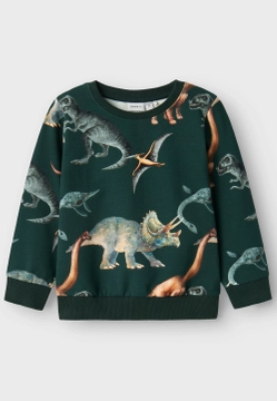 BLUZA CHŁOPIĘCA NAME IT 13231927