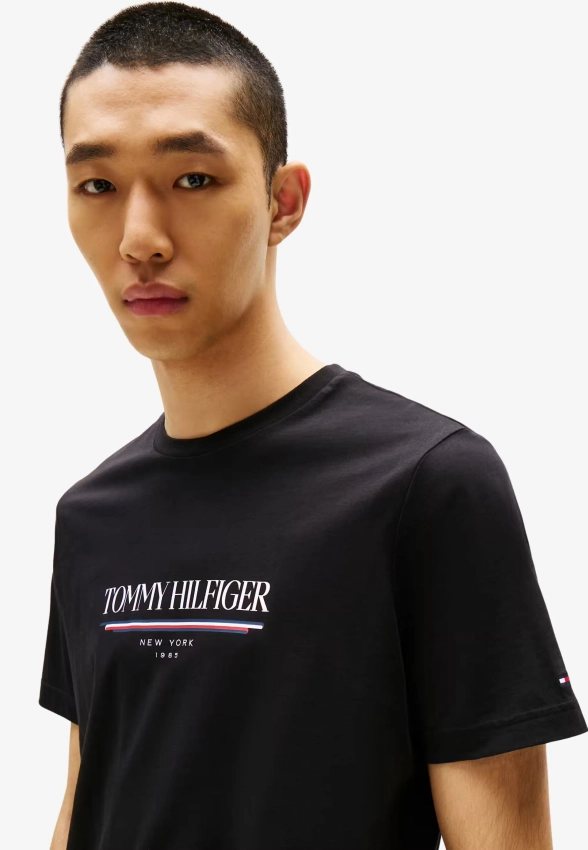 T-SHIRT MĘSKI TOMMY HILFIGER MMW0MW40324
