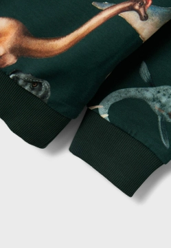 BLUZA CHŁOPIĘCA NAME IT 13231927