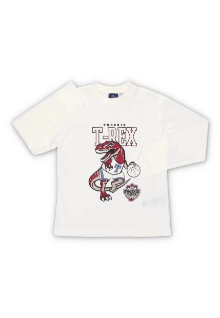 T-SHIRT CHŁOPIĘCY Z DŁUGIM RĘKAWEM CHICCO 100179