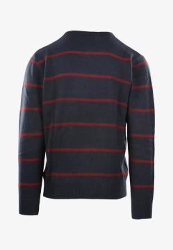 SWETER MĘSKI STORMY LIFE W6092