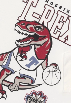 T-SHIRT CHŁOPIĘCY Z DŁUGIM RĘKAWEM CHICCO 100179