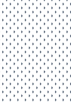 KOSZULA MĘSKA Z DŁUGIM RĘKAWEM DESOTO 81028-3