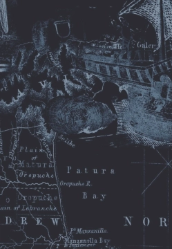 POLO MĘSKIE DESOTO 83137-3