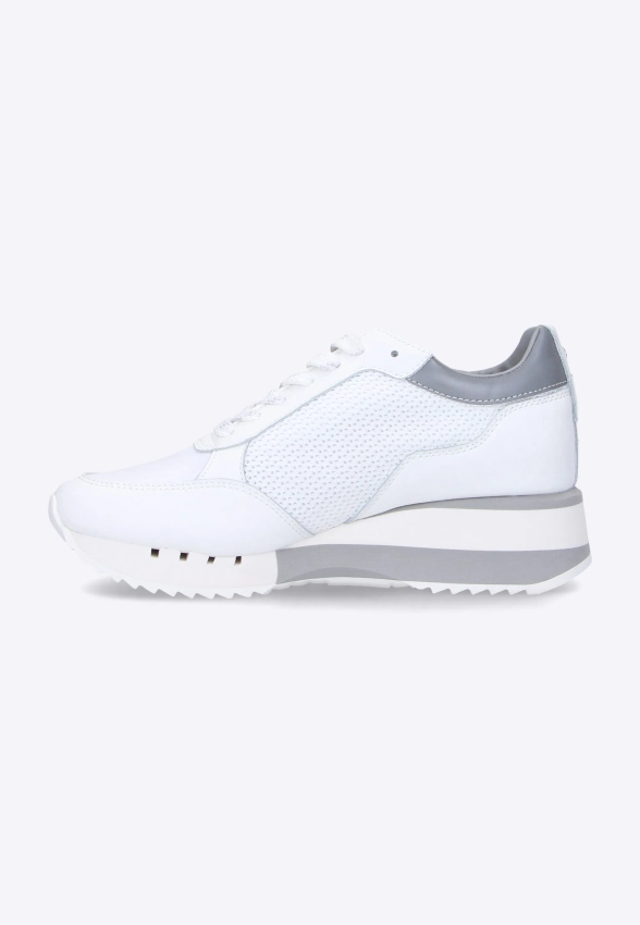SNEAKERSY DAMSKIE BLAUER. S0CHARLOTTE05
