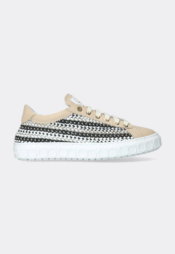 SNEAKERSY DAMSKIE CESARE CASADEI 50208