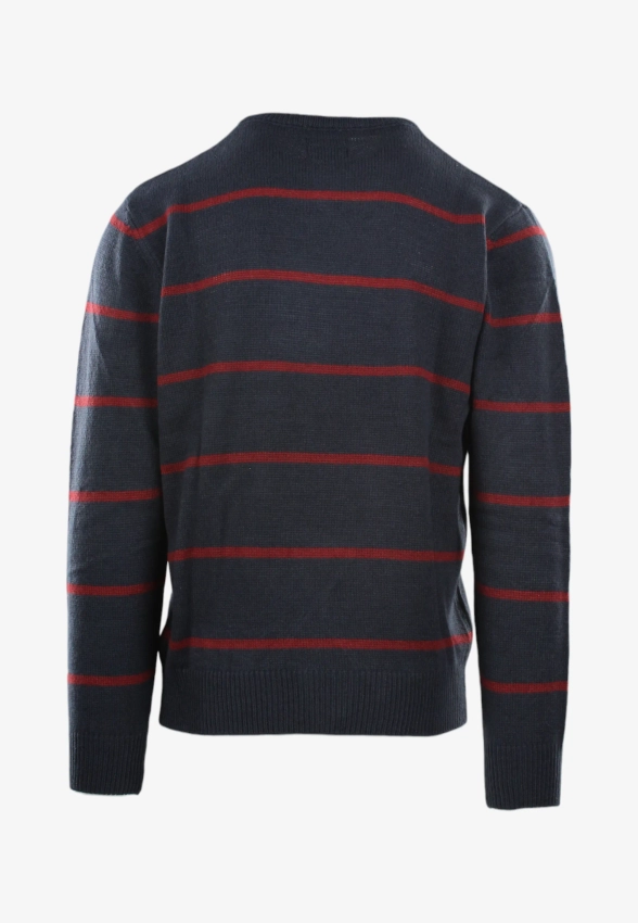 SWETER MĘSKI STORMY LIFE W6092