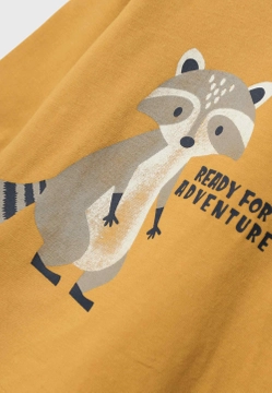 T-SHIRT CHŁOPIĘCY Z DŁUGIM RĘKAWEM I APLIKACJĄ NAME IT 13233423