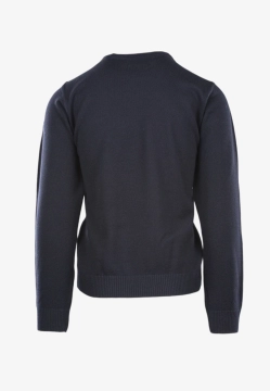 SWETER MĘSKI Z DOMIESZKĄ WEŁNY GREEN COAST GC25AIW52001