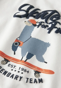 T-SHIRT CHŁOPIĘCY NAME IT 13224978