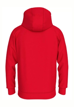 BLUZA MĘSKA Z KAPTUREM TOMMY JEANS DM0DM17985