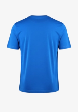 T-SHIRT MĘSKI TOMMY HILFIGER MW0MW39995