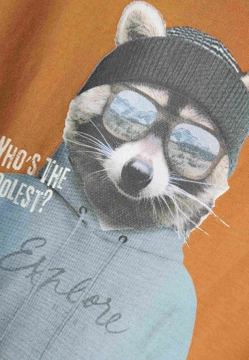 T-SHIRT CHŁOPIECY Z DŁUGIM RĘKAWEM Z NADRUKIEM NAME IT 13233694