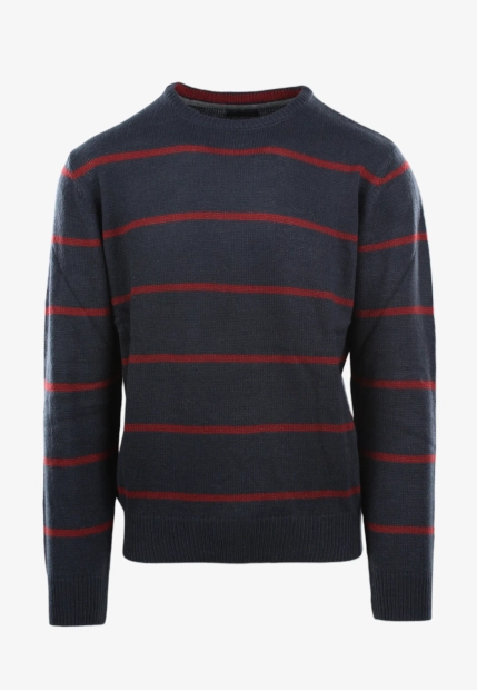 SWETER MĘSKI STORMY LIFE W6092